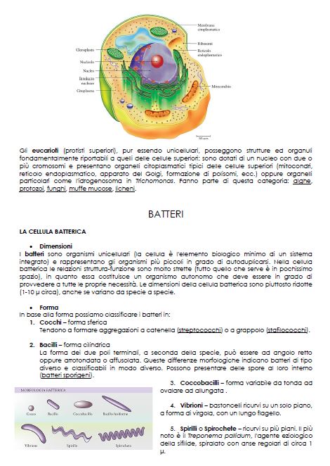 Microbiologia - Appunti