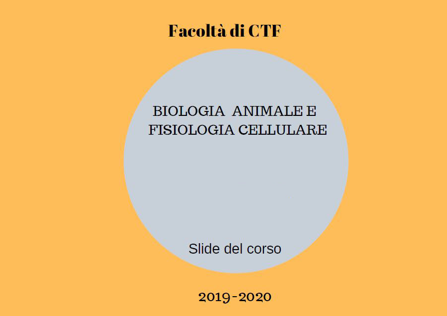 Biologia animale e fisiologia cellulare - Slide