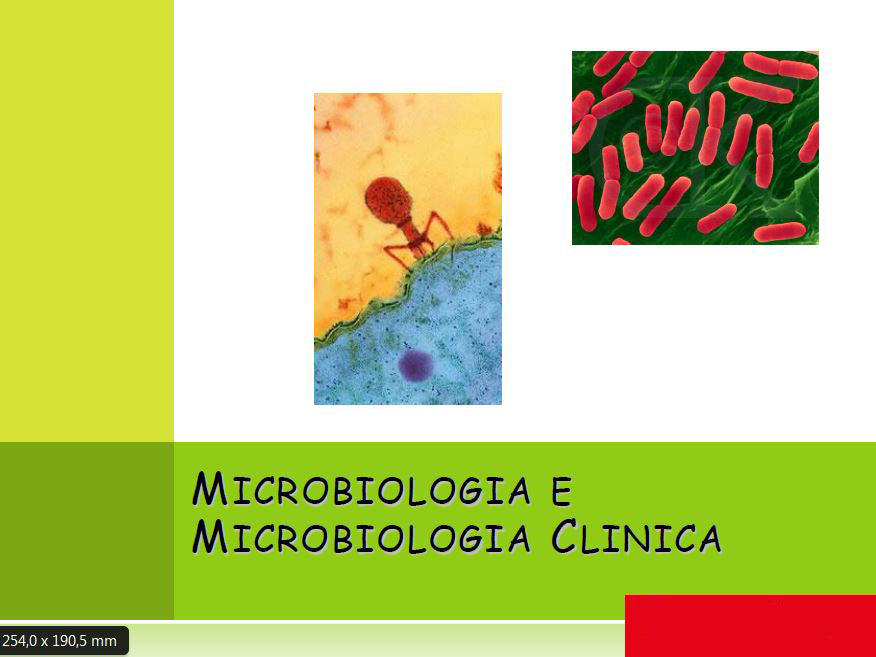 Microbiologia - Slide