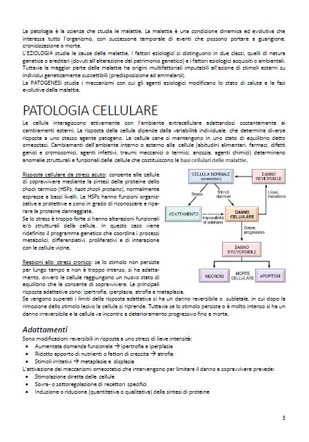 Patologia - Appunti