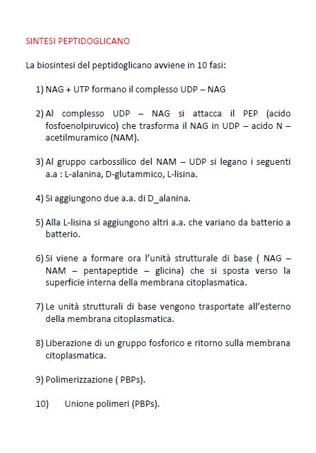 Microbiologia - Domande e risposte